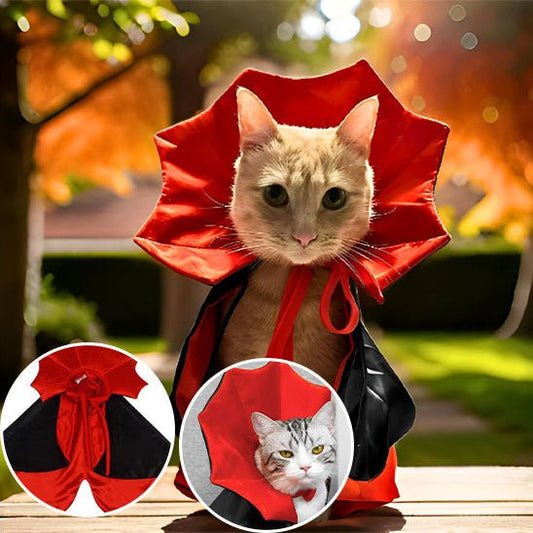 Costume pour chat | Vampire - Paw Chat