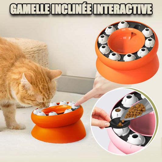 Distributeur de croquettes pour chat | PuzzleFeeder™ - Paw Chat