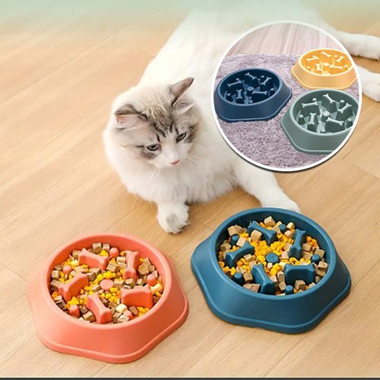 Gamelle anti glouton chat | BolSanté™ - Paw Chat