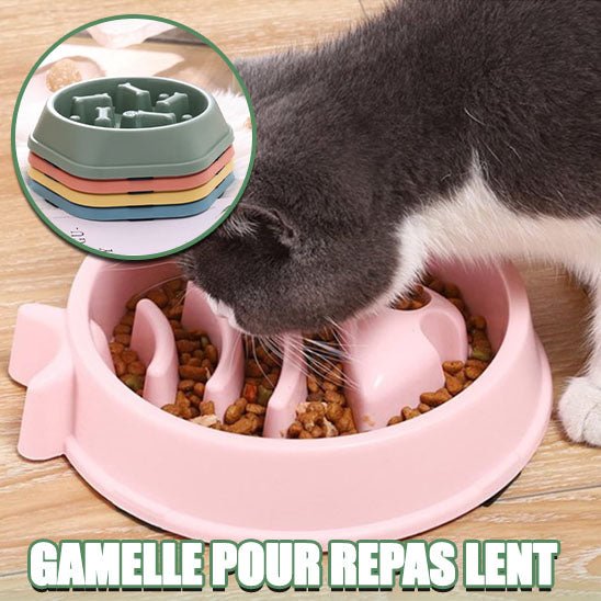 Gamelle anti glouton chat | BolSanté™ - Paw Chat