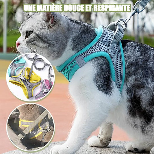 Harnais pour chat | HarnaisConfort™ - Paw Chat