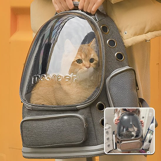 Sac de transport pour chat | CarryPet™ - Paw Chat